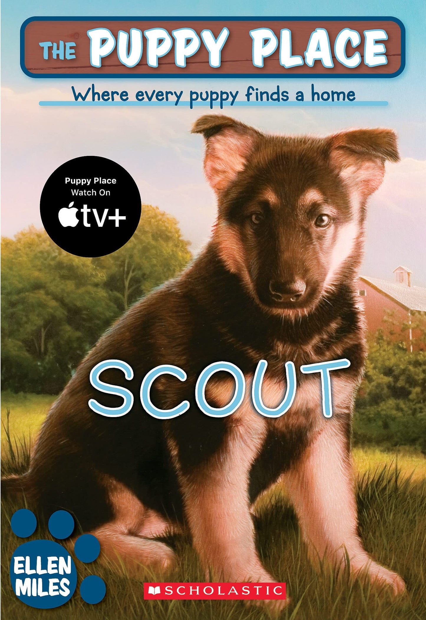 SCOUT (PUPPY PLACE)