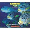 Now I know Fish