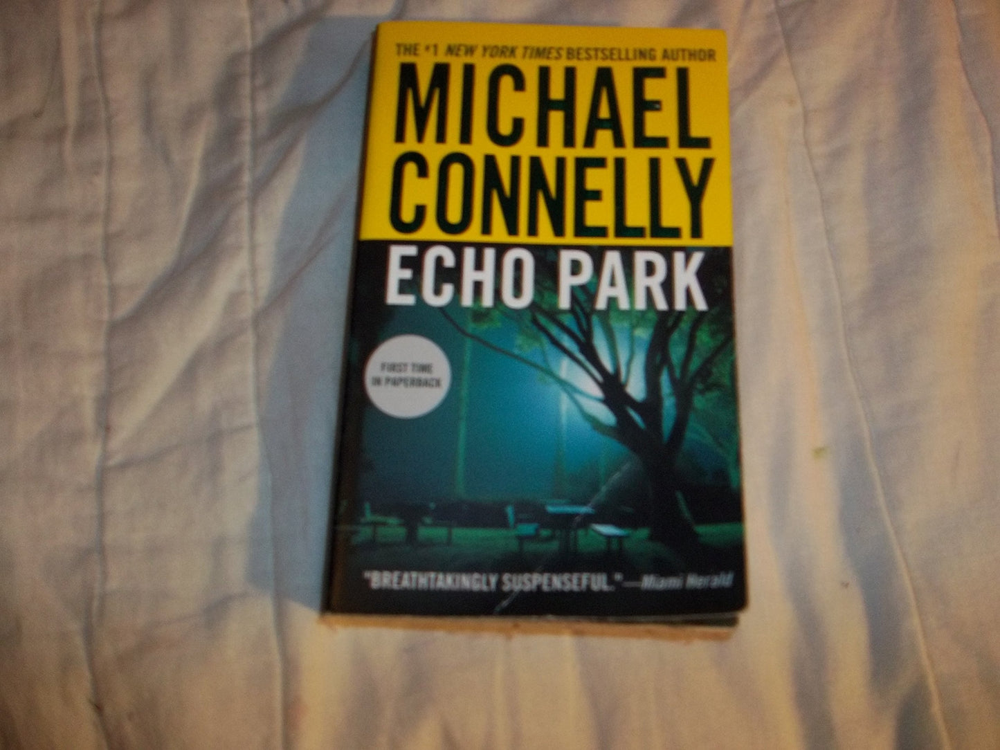 Echo Park (A Harry Bosch Novel, 12)