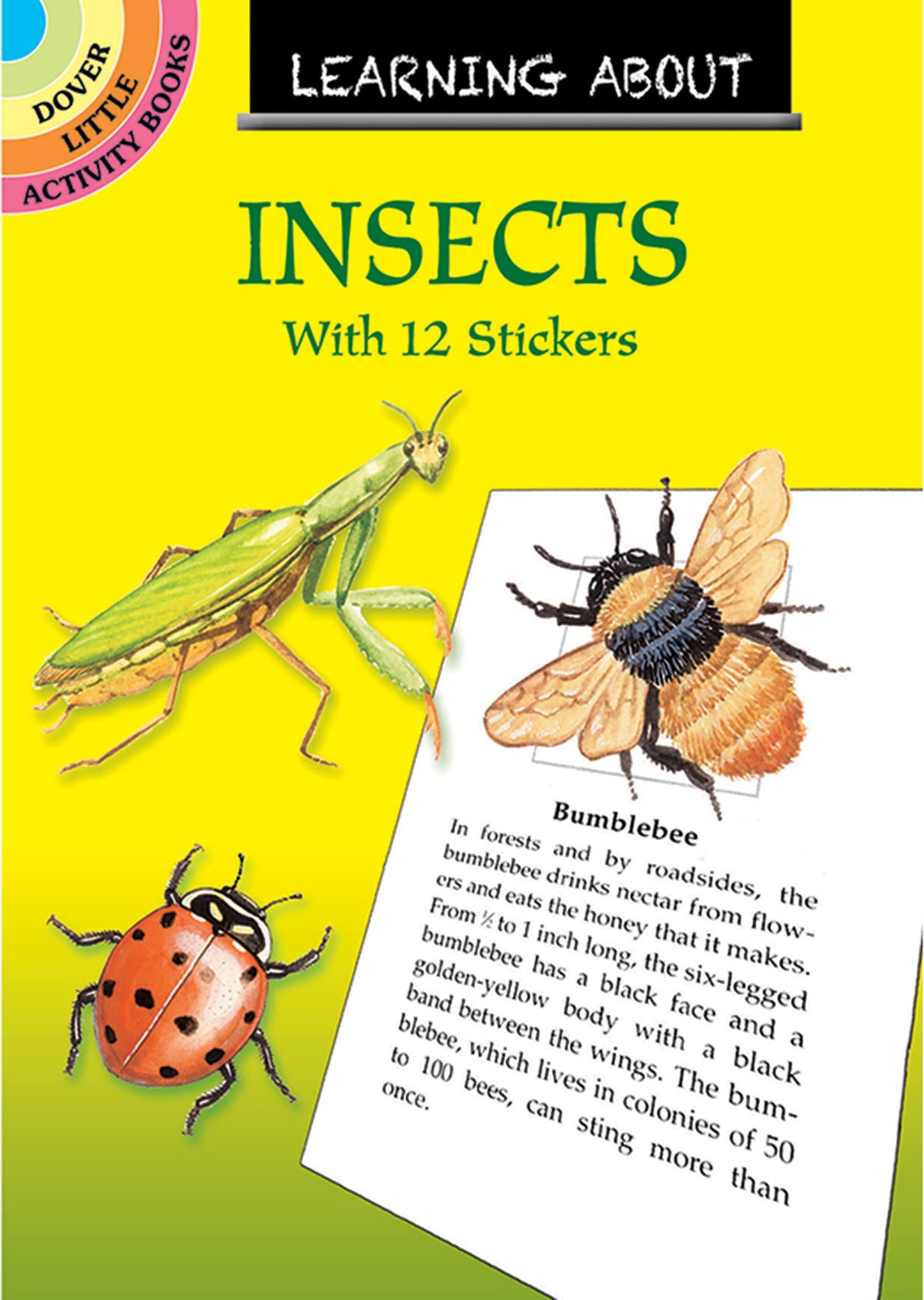 Learning About Insects (Dover Little Activity Books)
