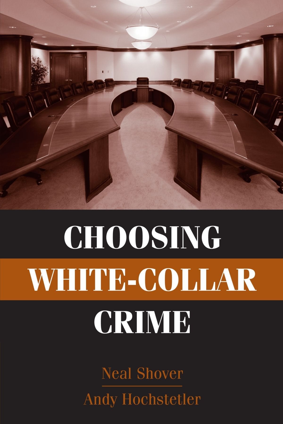 Choosing White-Collar Crime (Cambridge Studies in Criminology)