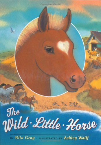 The Wild Little Horse
