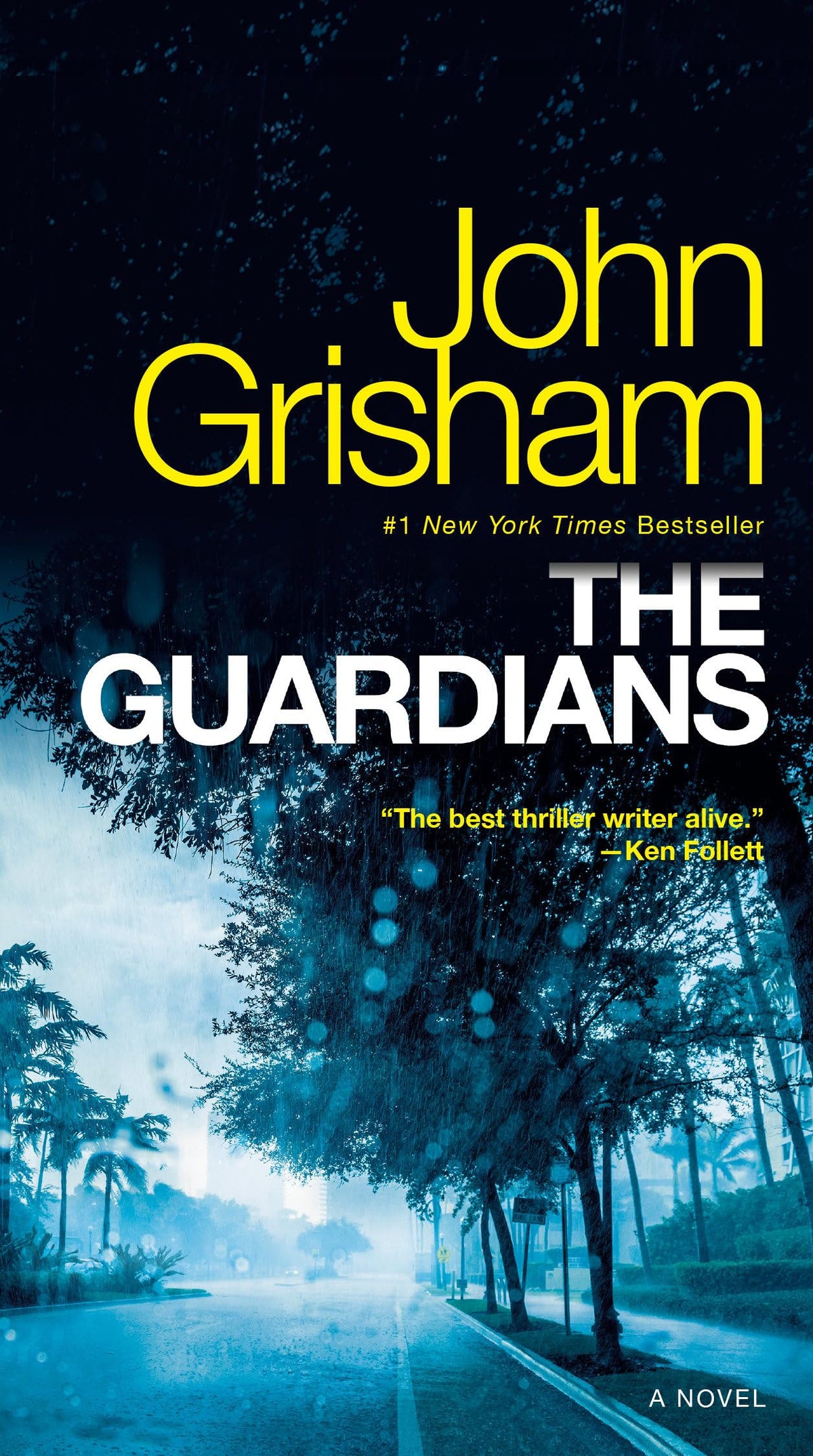 The Guardians: A Novel