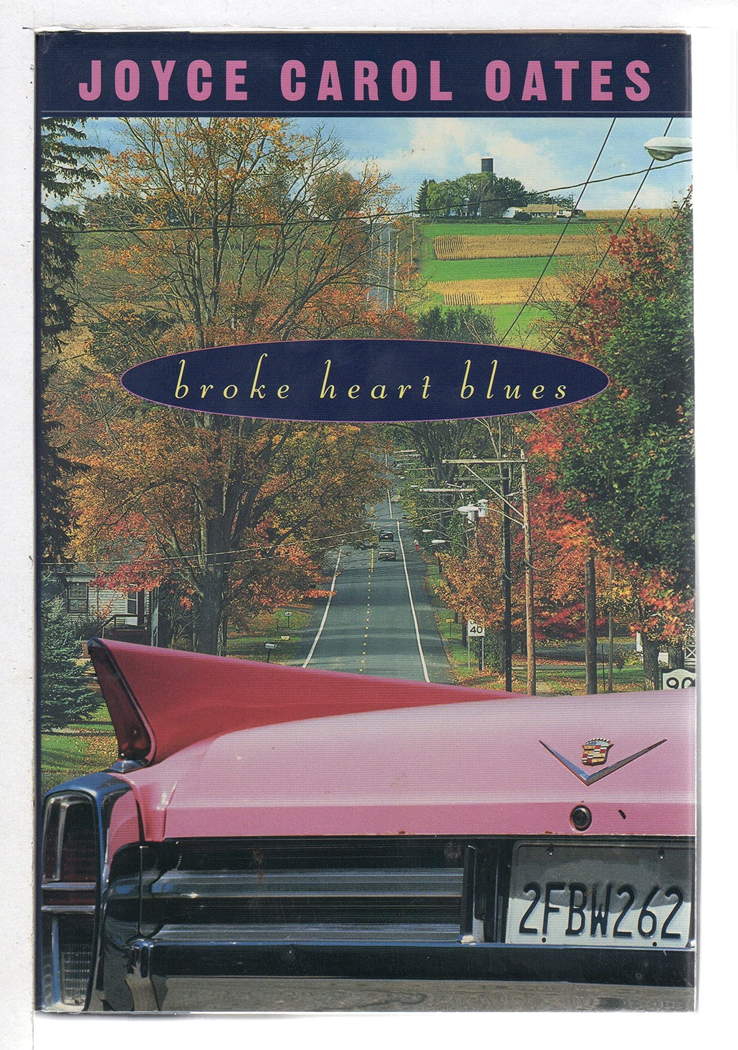 Broke Heart Blues