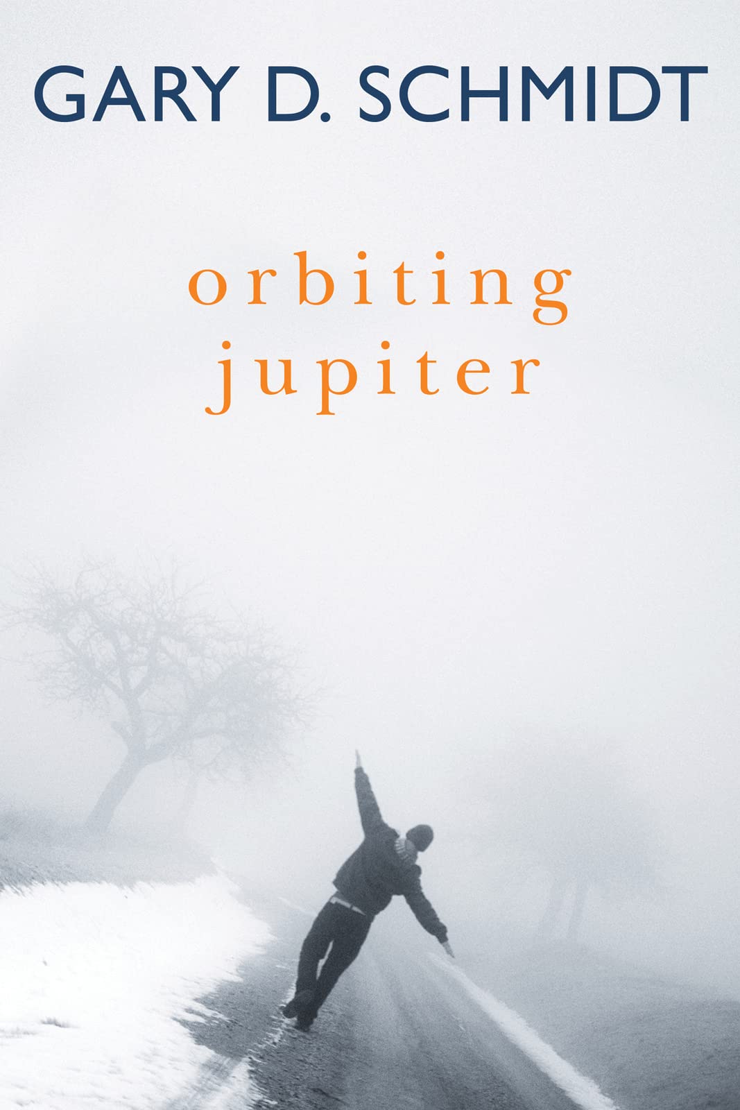 Orbiting Jupiter: A Heartfelt Coming-of-Age Novel of a Troubled Teen, Foster Family Bonds, and Friendship