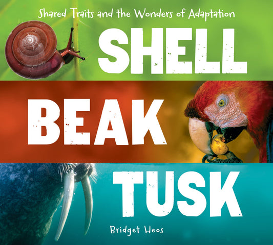 Shell, Beak, Tusk: Shared Traits and the Wonders of Adaptation – An Illustrated Guide to Convergent Evolution and Animals for Kids (Ages 6-9)
