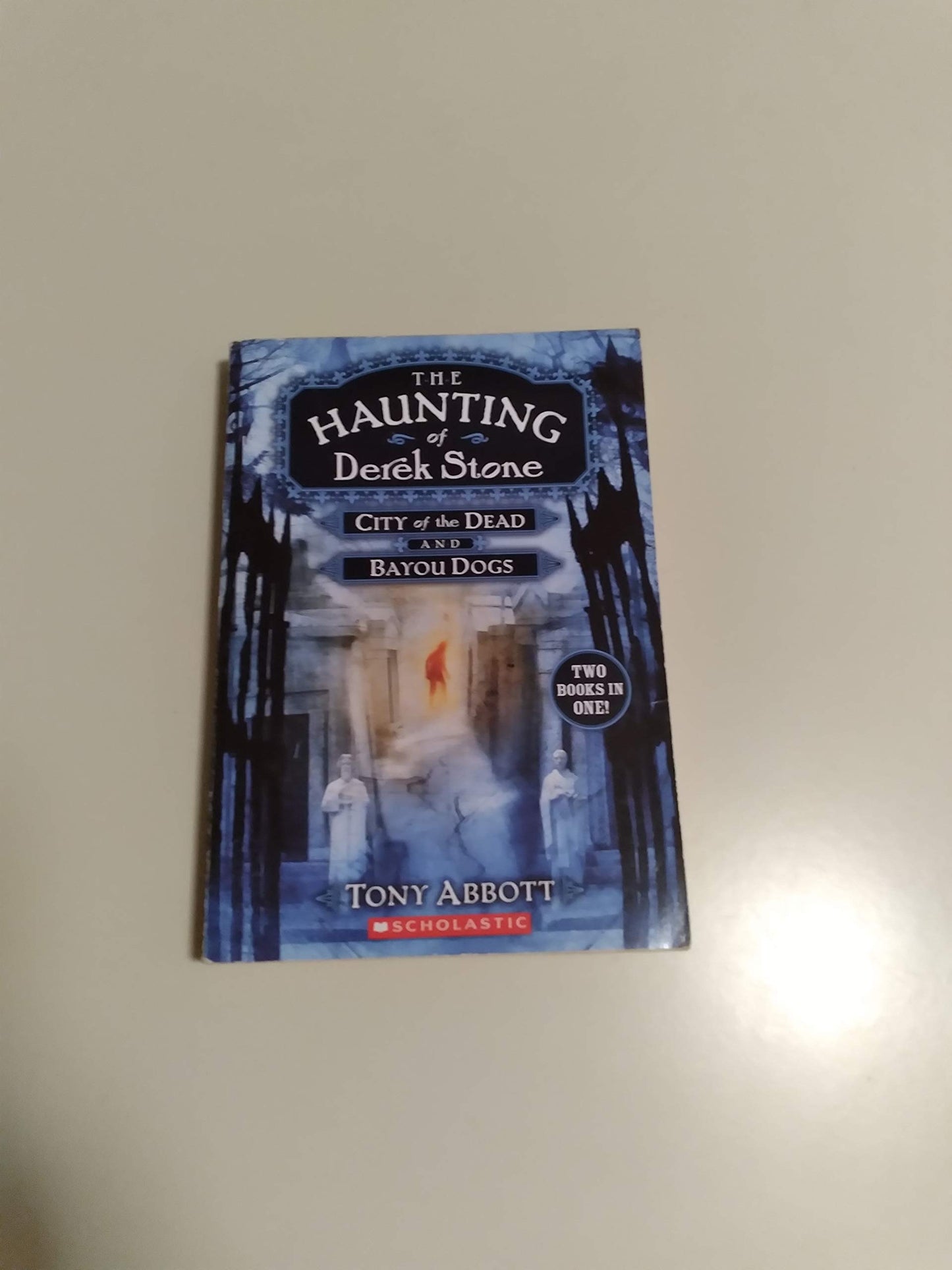 The Haunting of Derek Stone: City of the Dead and Bayou Dogs [Paperback]