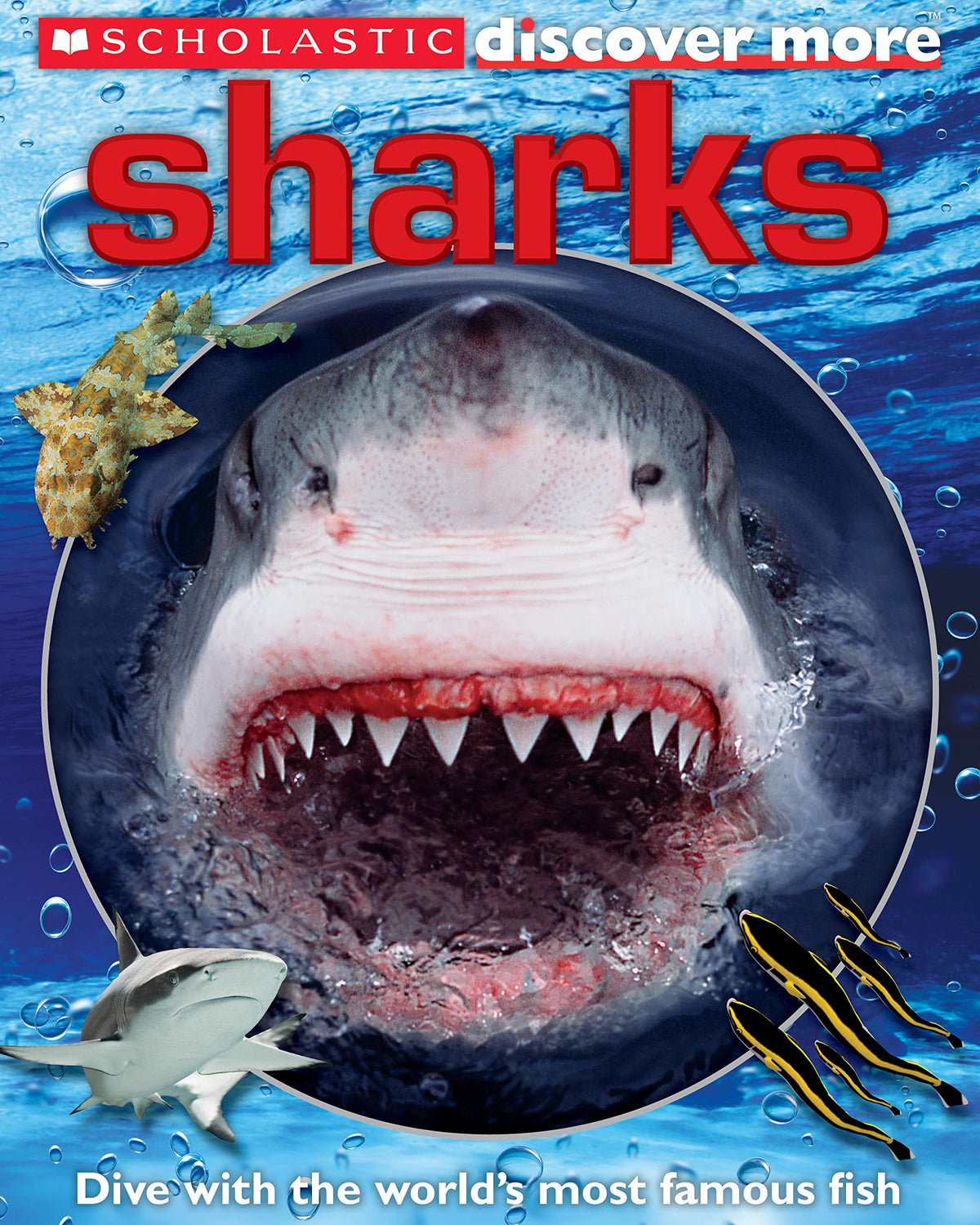 Scholastic Discover More: Sharks