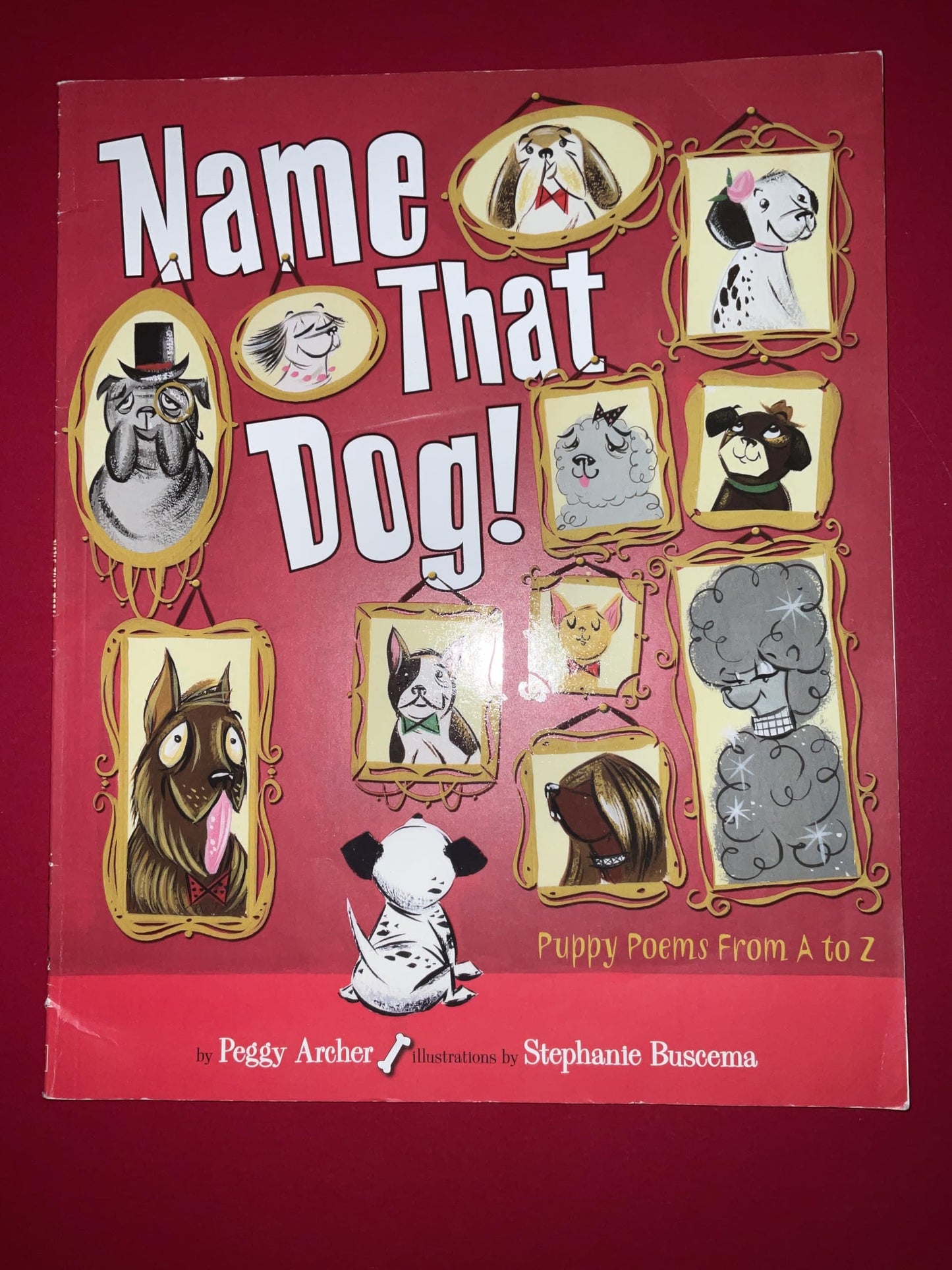 Name That Dog!