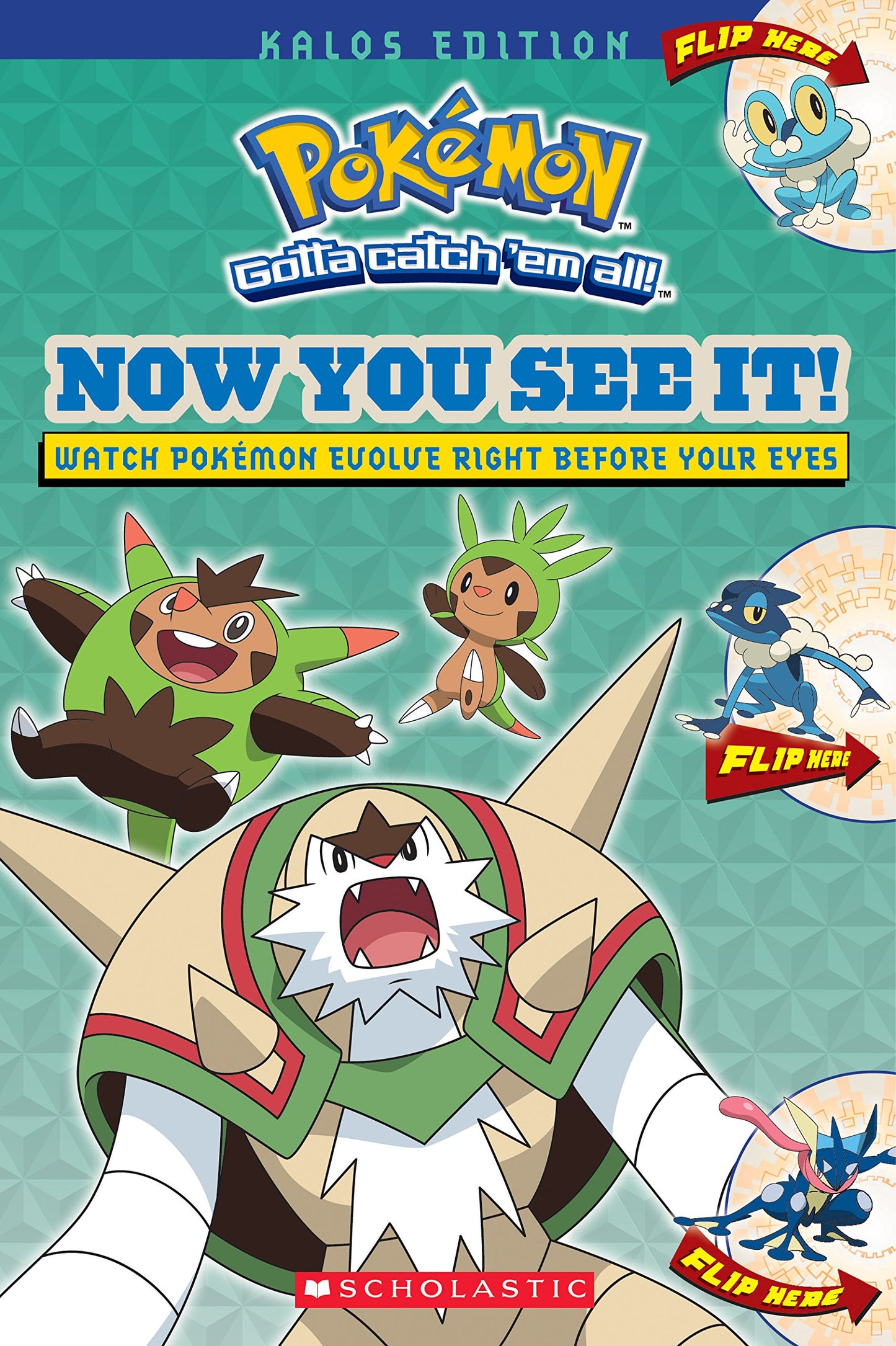 Now You See It! Kalos Edition (Pokmon)