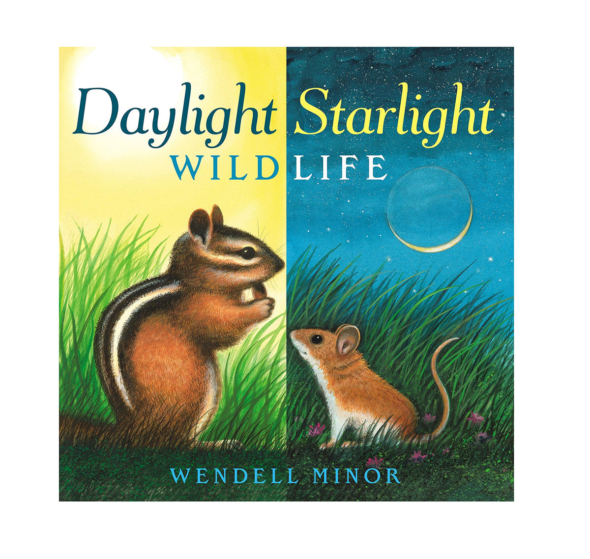 Daylight Starlight Wildlife