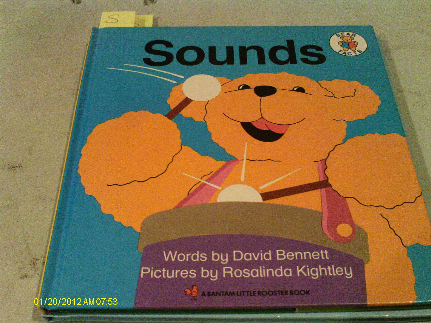 SOUNDS #6 BEAR FACTS