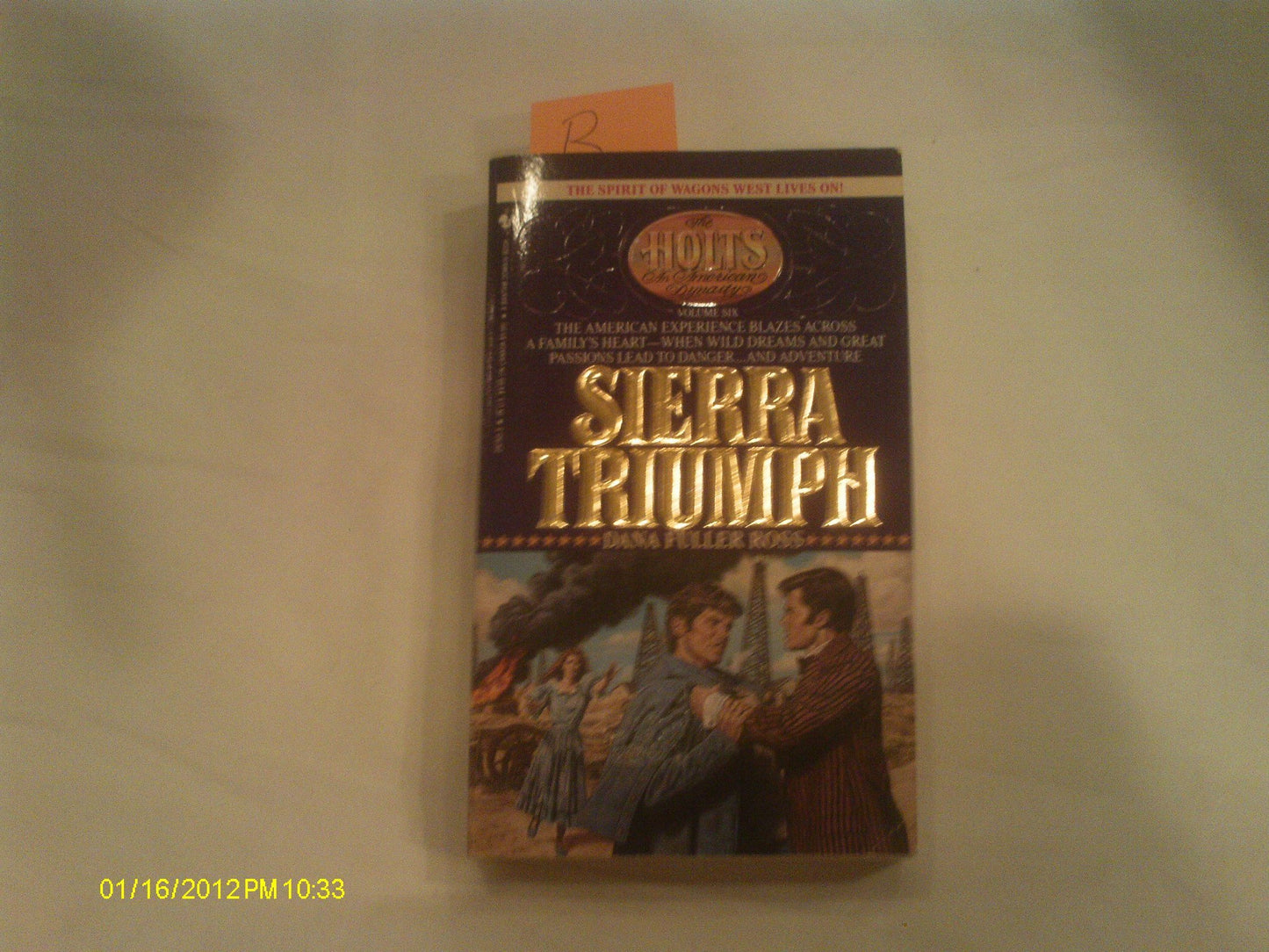Sierra Triumph (The Holts: An American Dynasty)