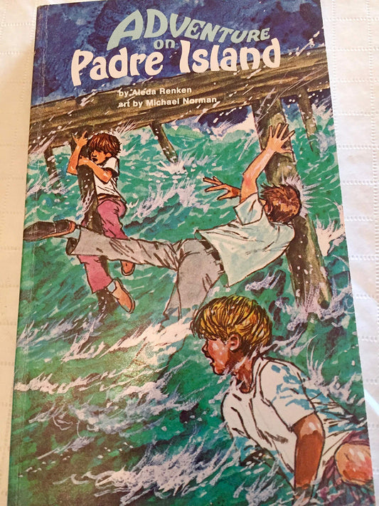 Adventure on Padre Island (Haley Adventure Book)