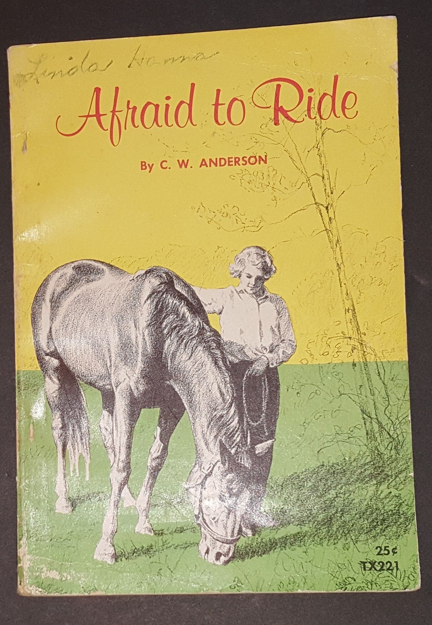 Afraid to Ride