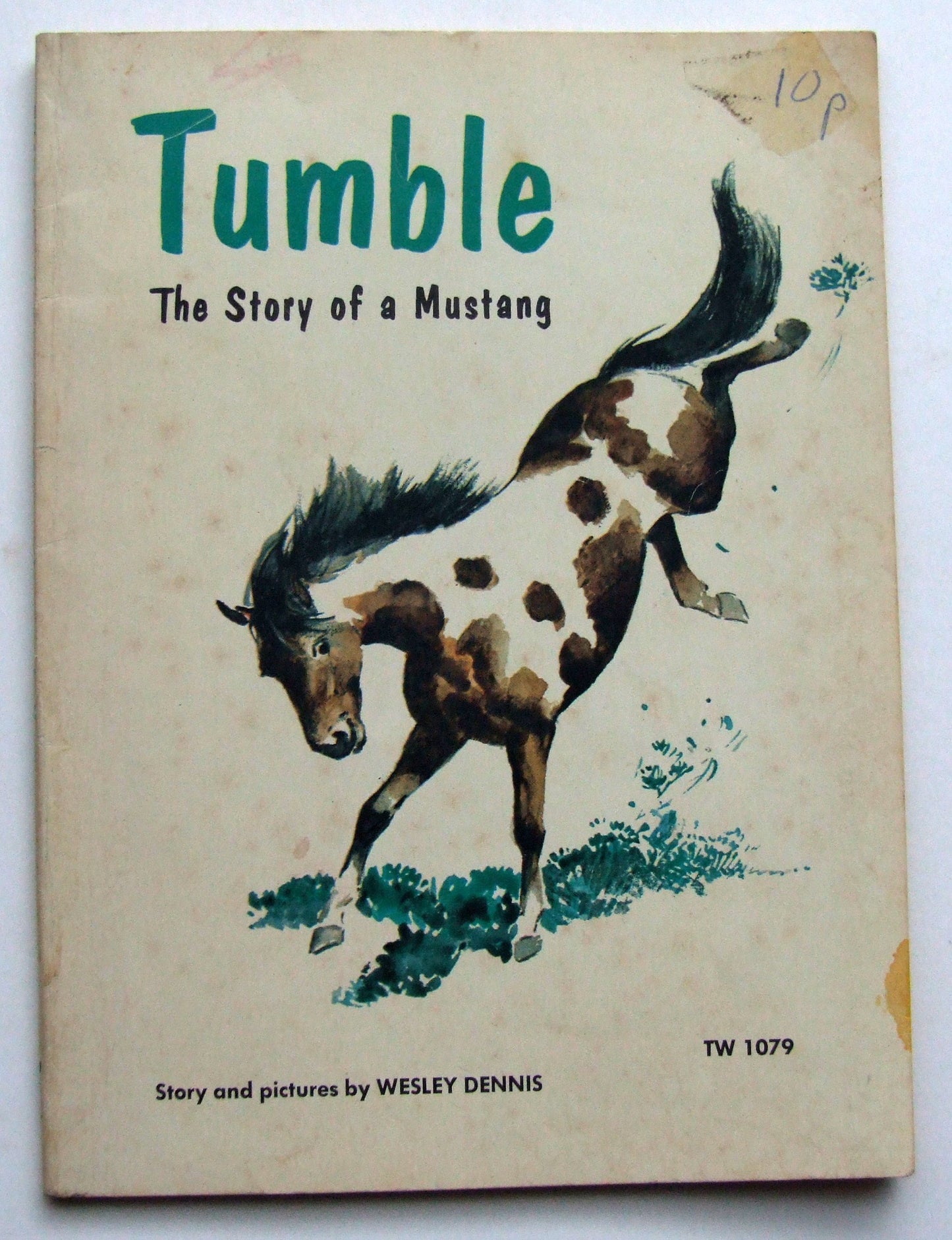 tumble, the story of a mustang