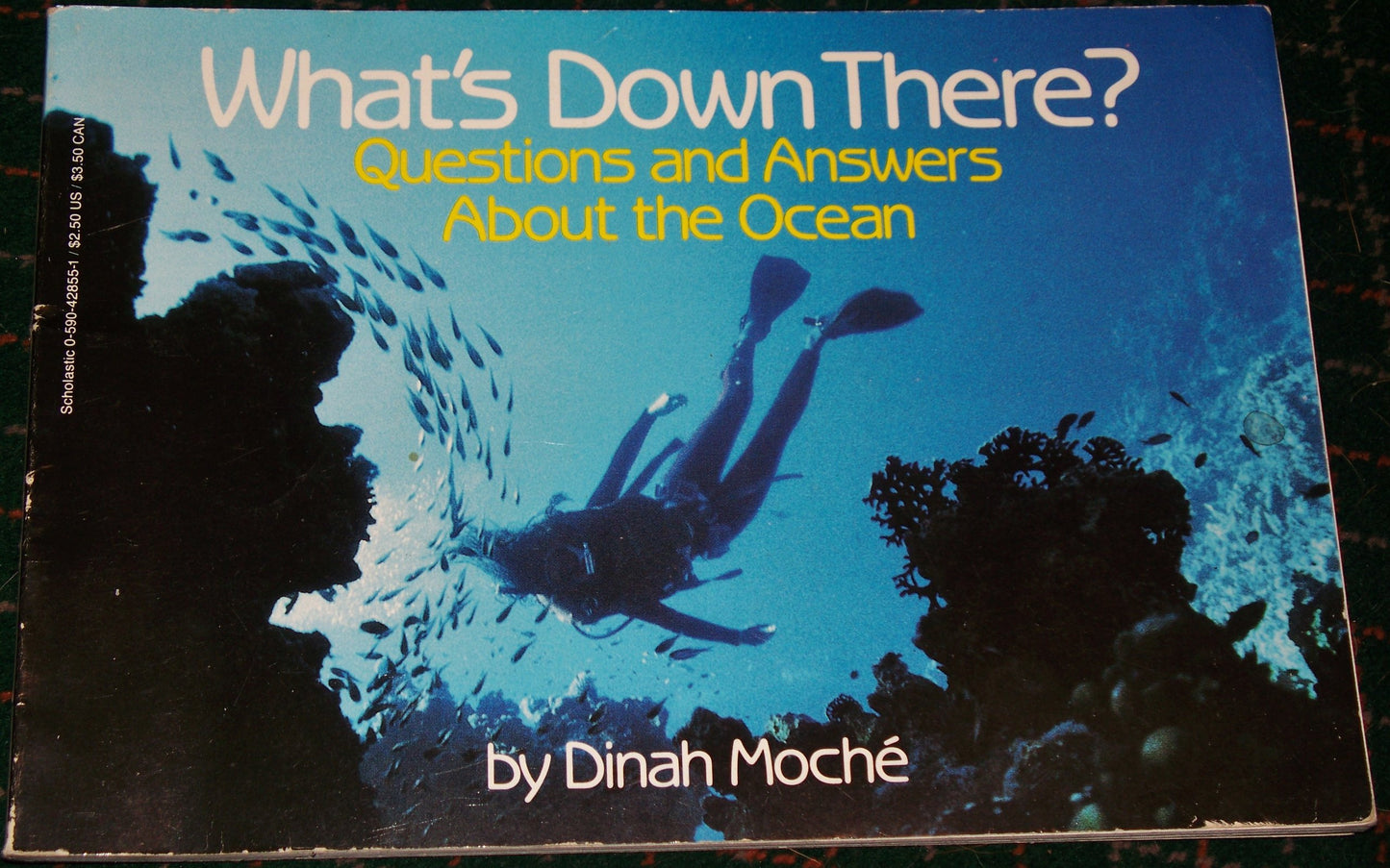 What's Down There?: Questions and Answers About the Ocean