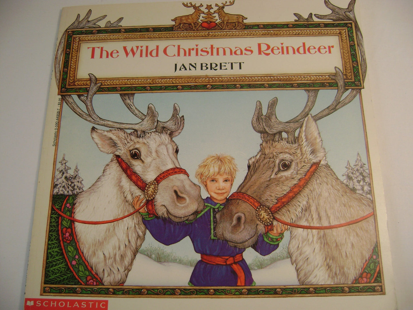 The Wild Christmas Reindeer