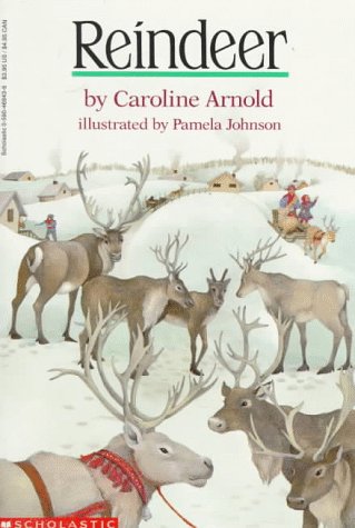 Reindeer