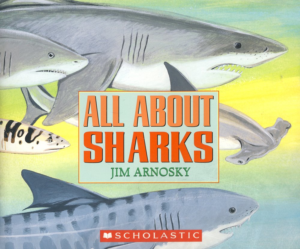 All About Sharks