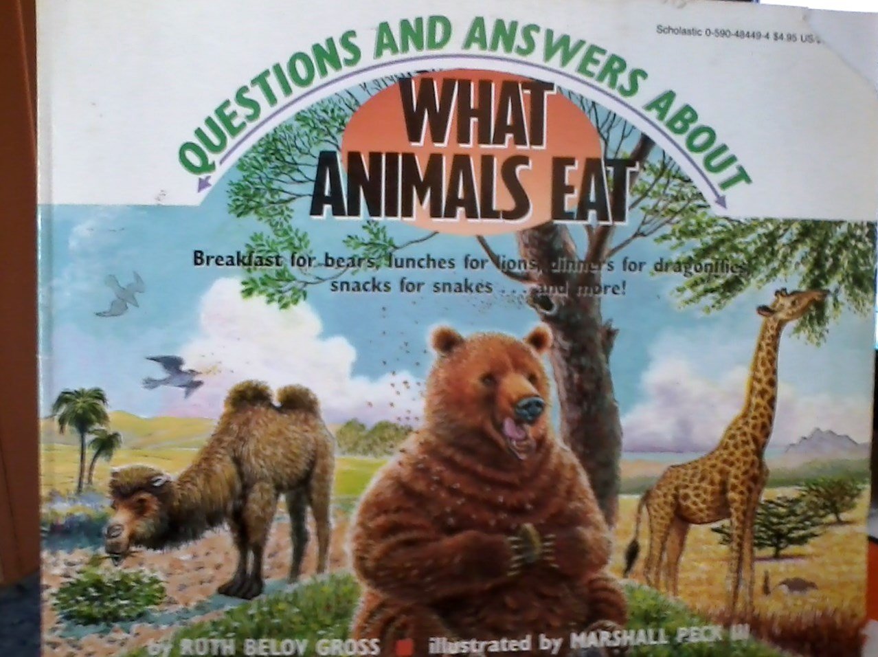 Questions and Answers About What Animals Eat