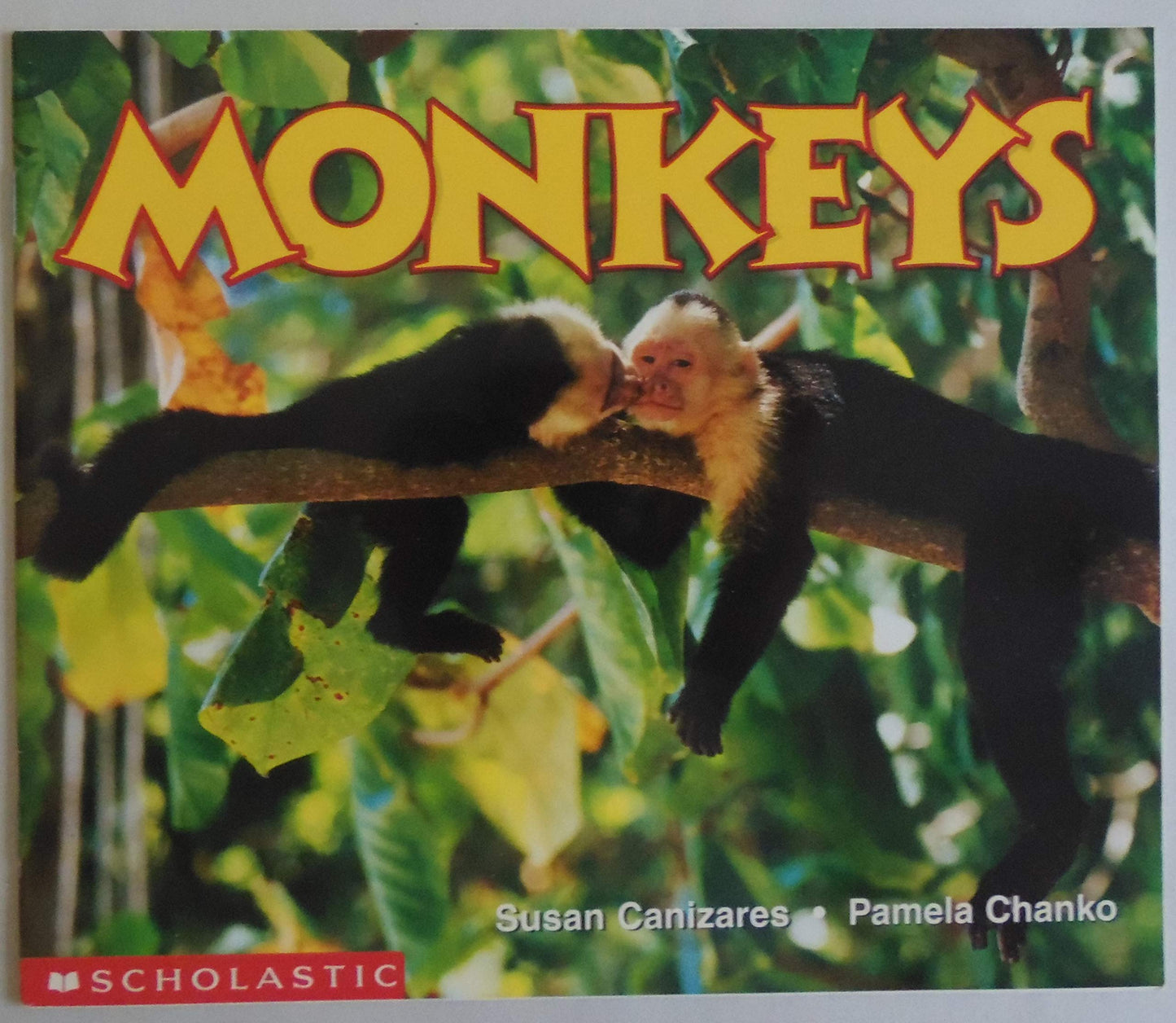 Monkeys (Science Emergent Readers)