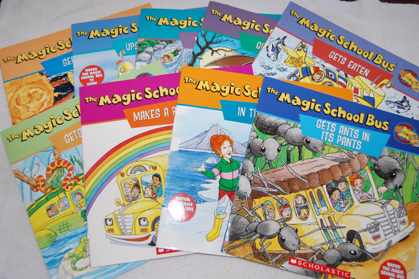 The Magic School Bus Ups And Downs: A Book About Floating And Sinking
