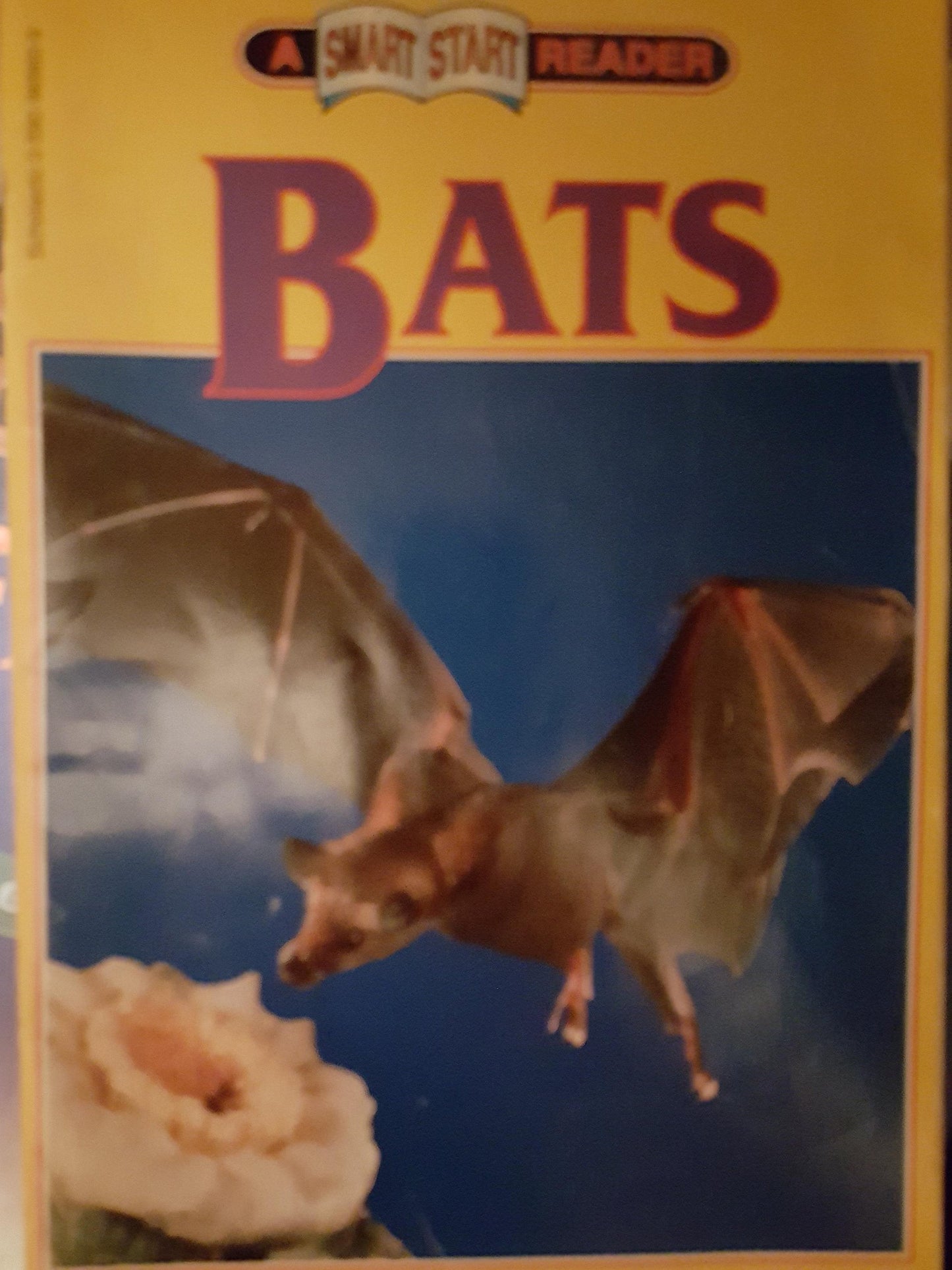 BATS (START SMART READER)