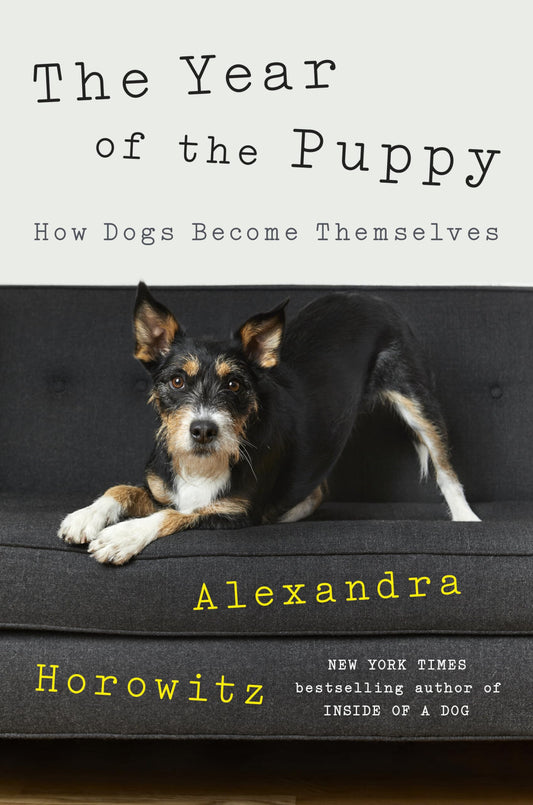 The Year of the Puppy: How Dogs Become Themselves