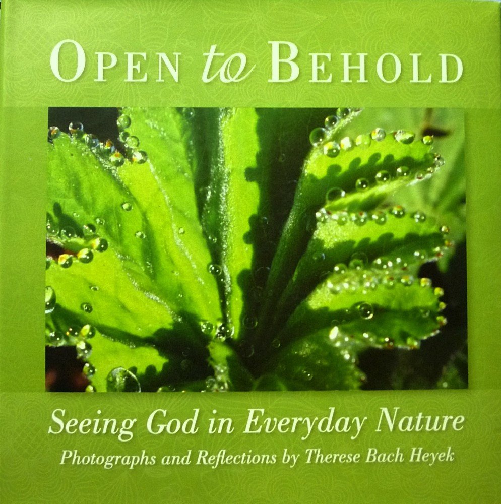 Open to Behold: Seeing God in Everyday Nature