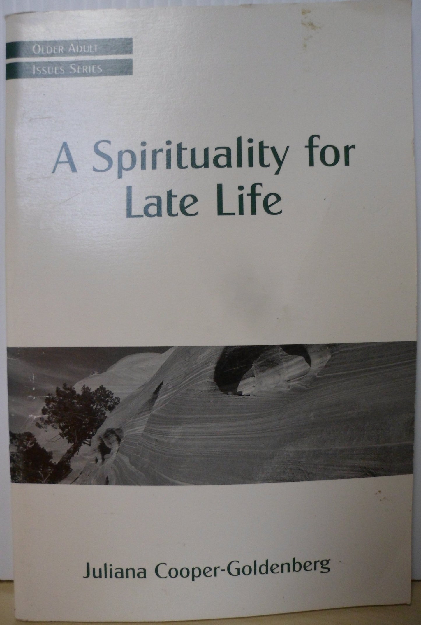 A Spirituality for Late Life (Older Adult Issues Series)