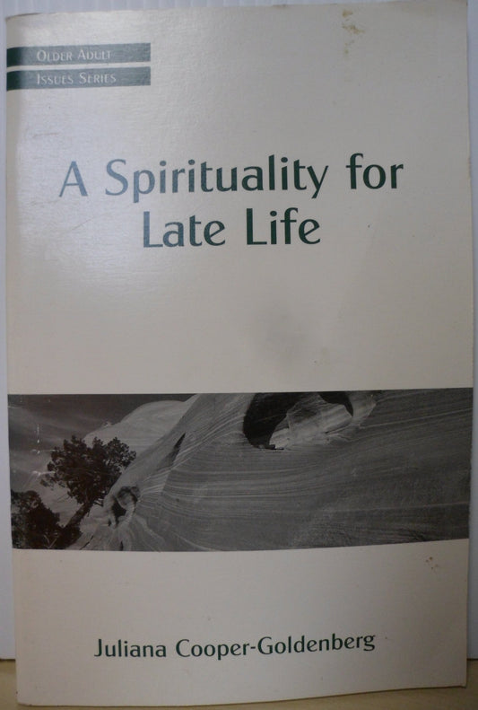A Spirituality for Late Life (Older Adult Issues Series)