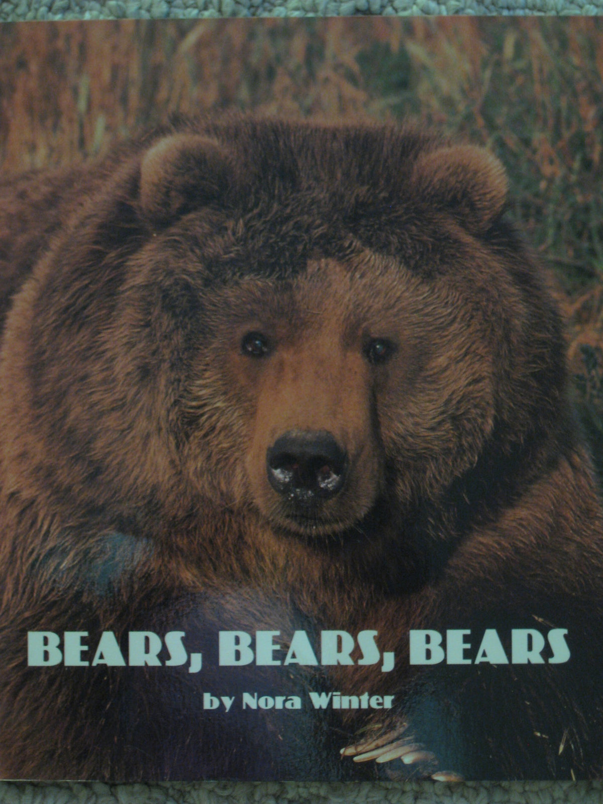 Bears, Bears, Bears