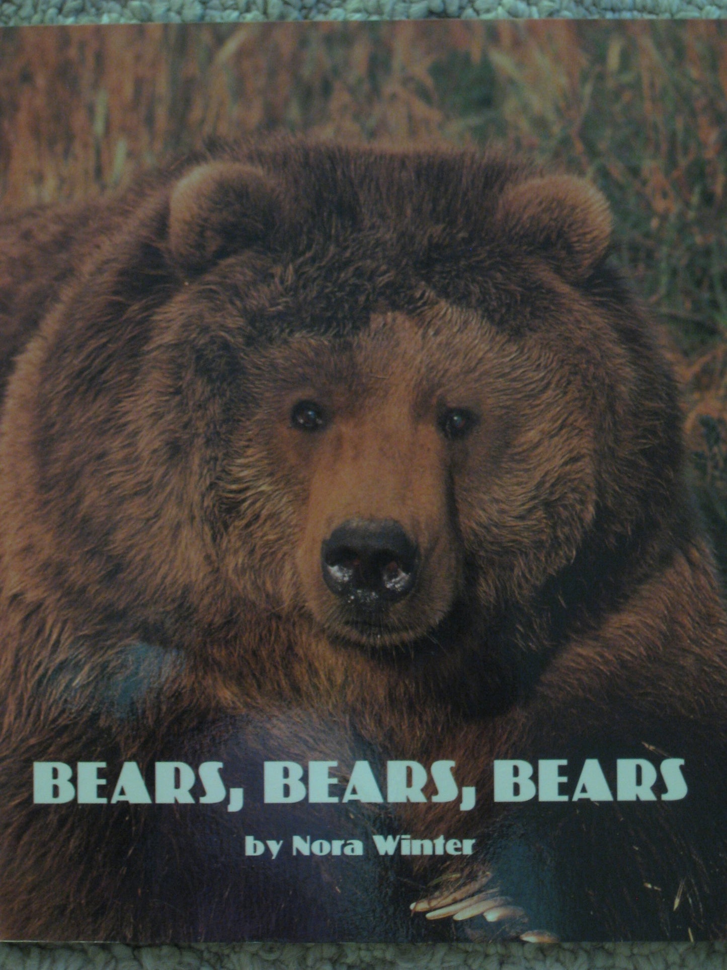 Bears, Bears, Bears