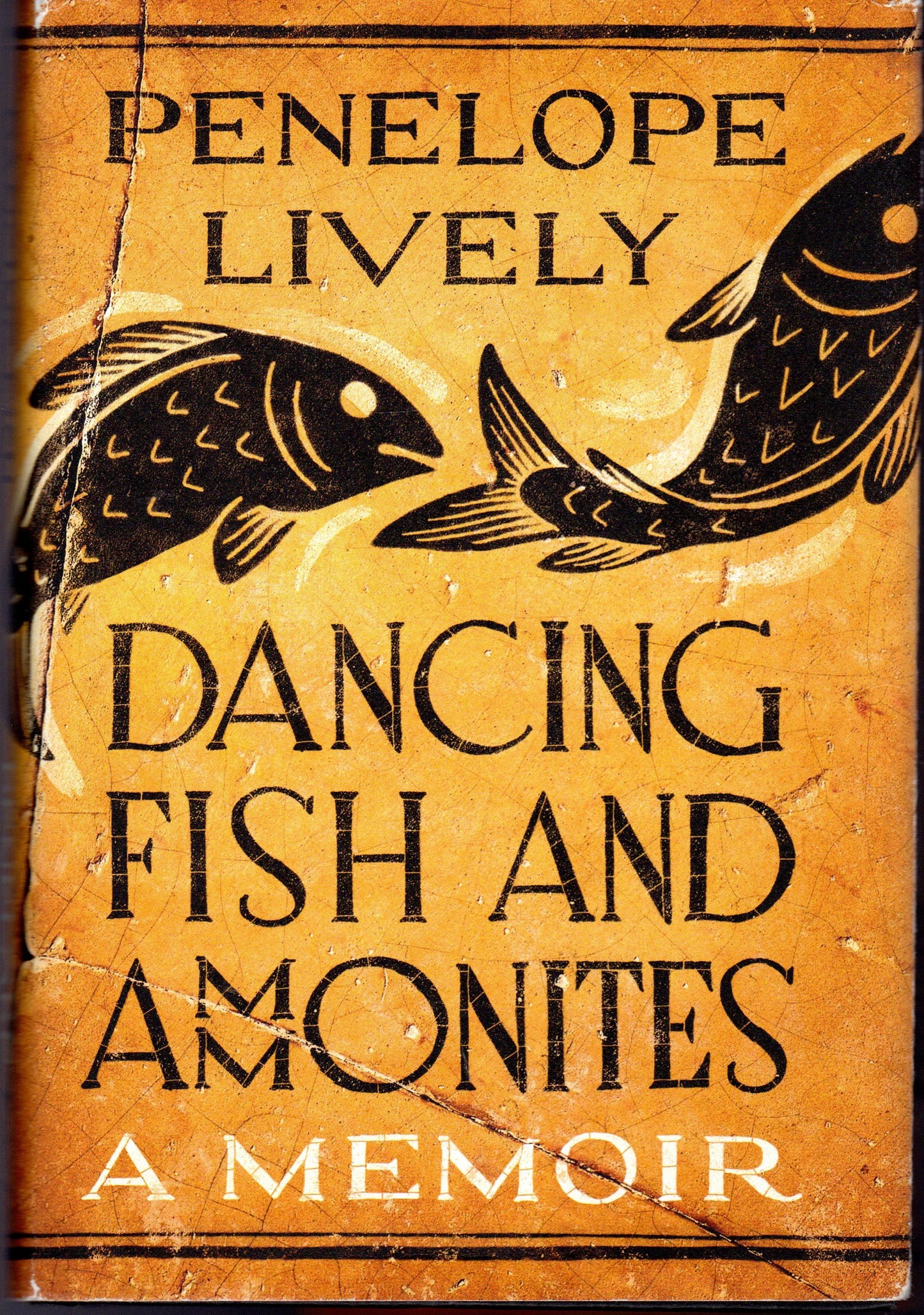 Dancing Fish and Ammonites: A Memoir