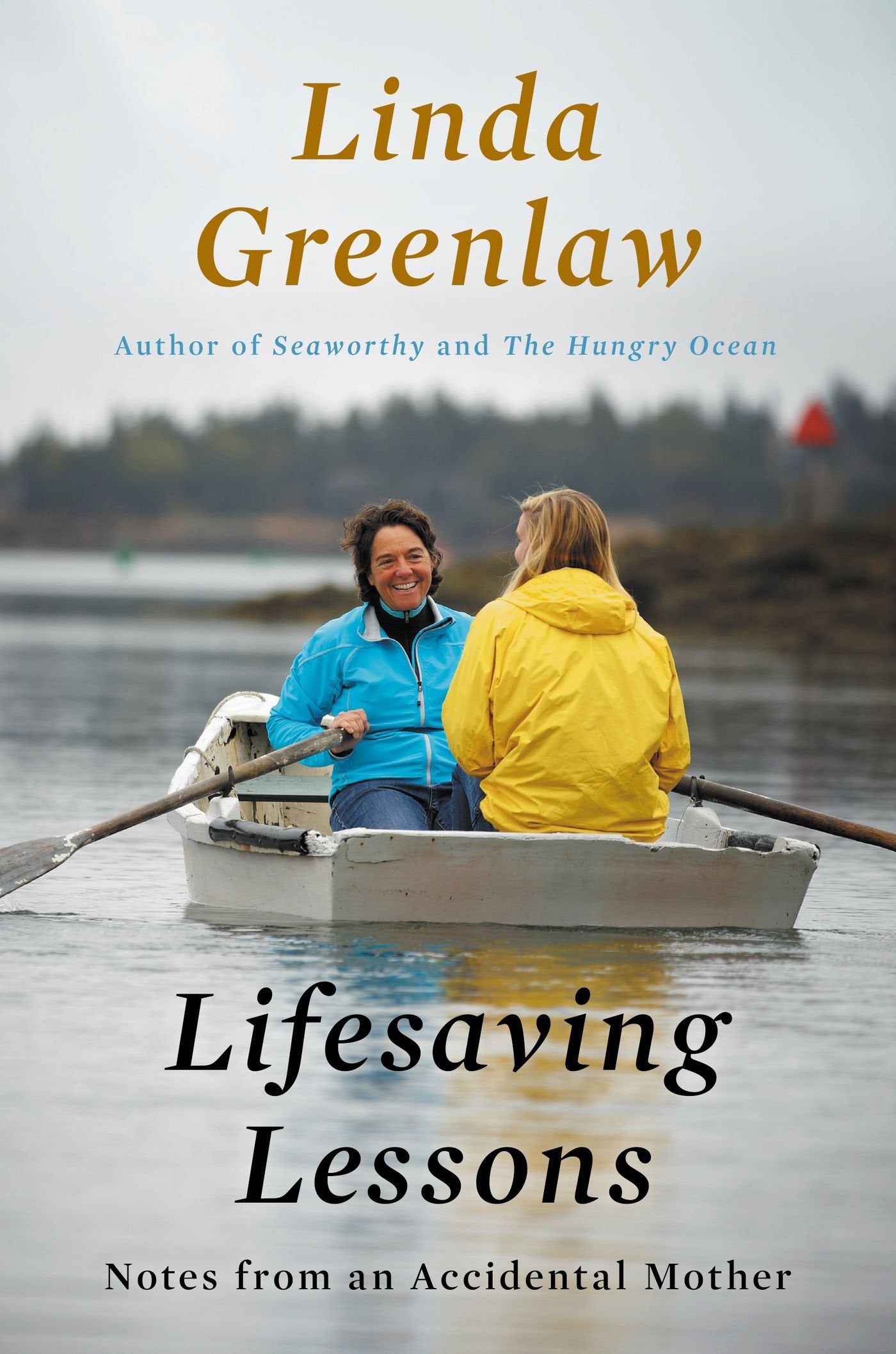 Lifesaving Lessons: Notes from an Accidental Mother