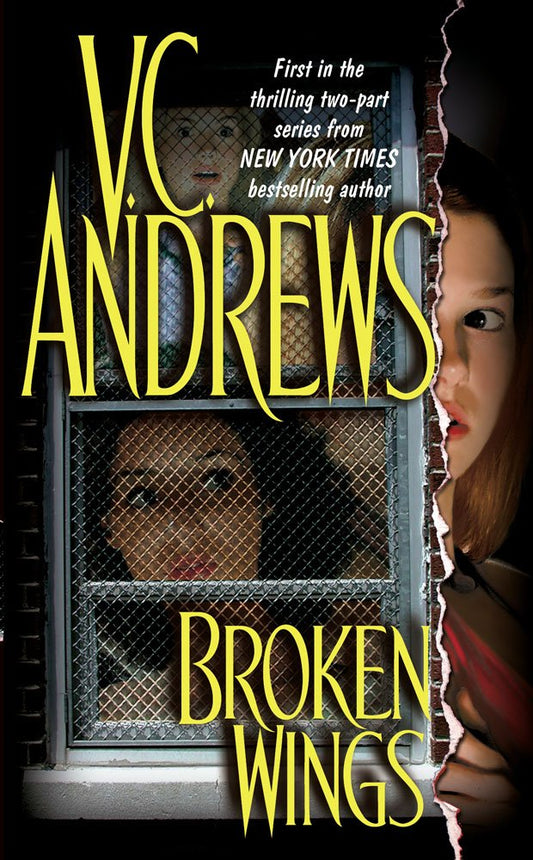 Broken Wings (1)