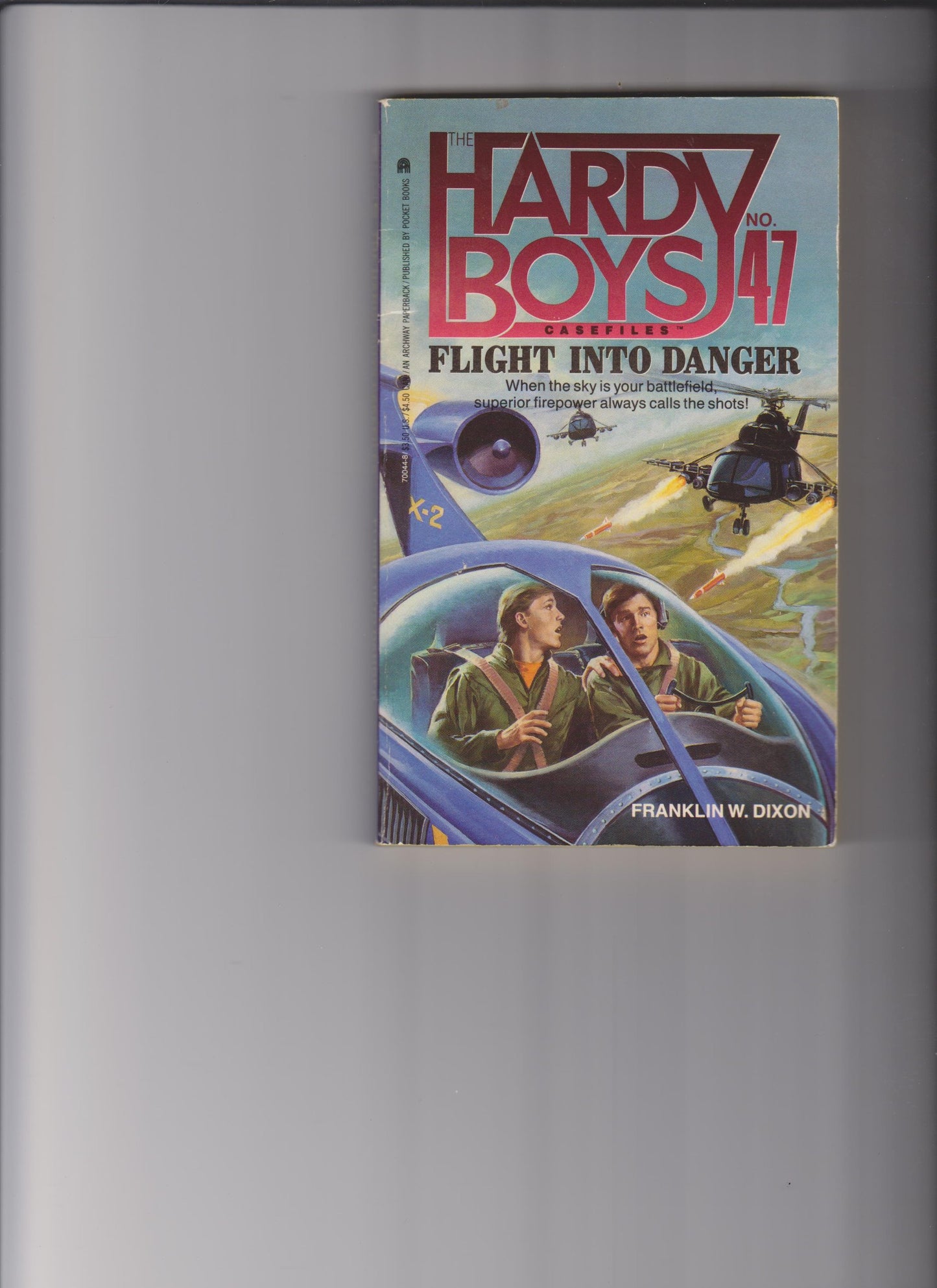 Disaster for Hire (The Hardy Boys Casefiles #23)