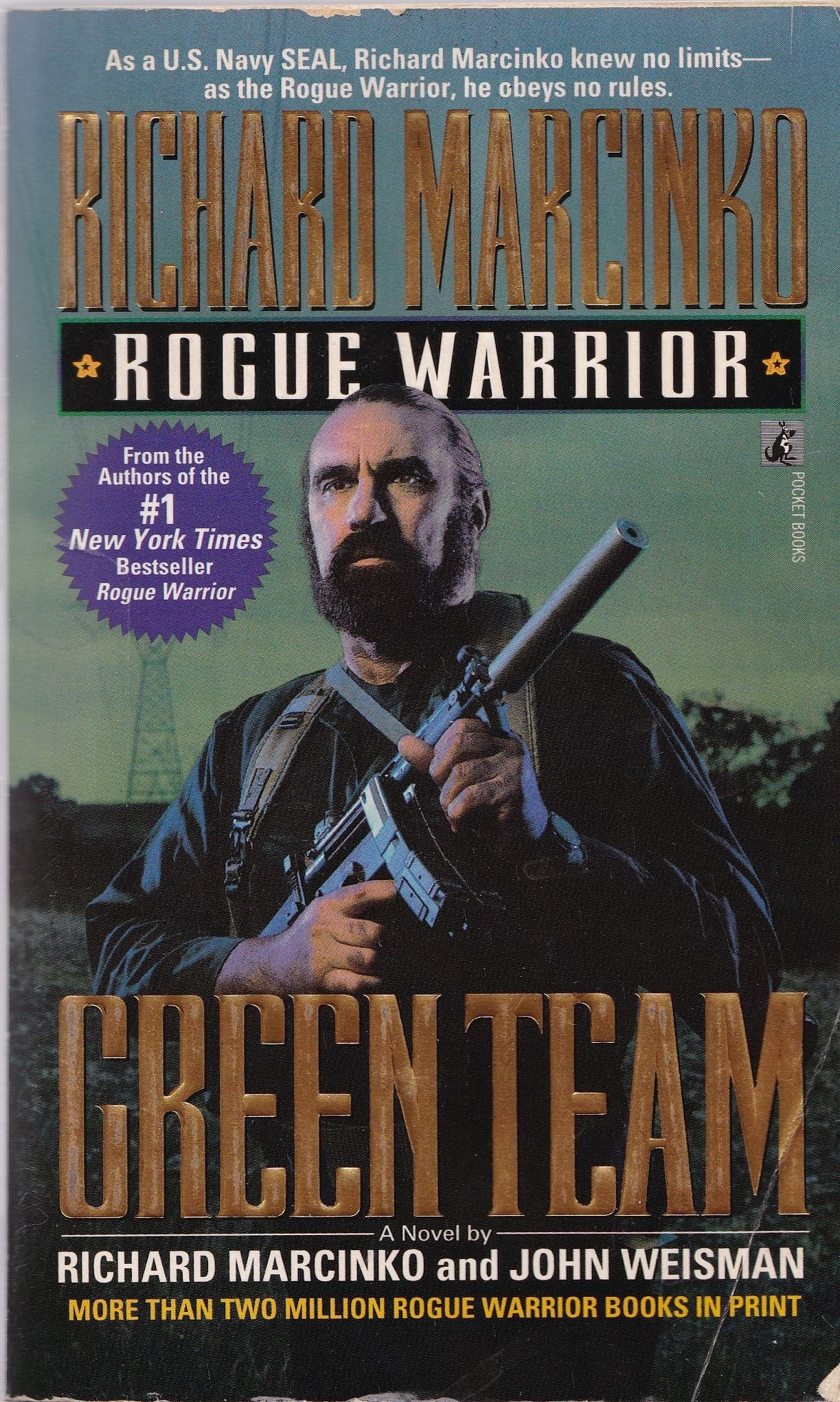 Green Team: Rogue Warrior