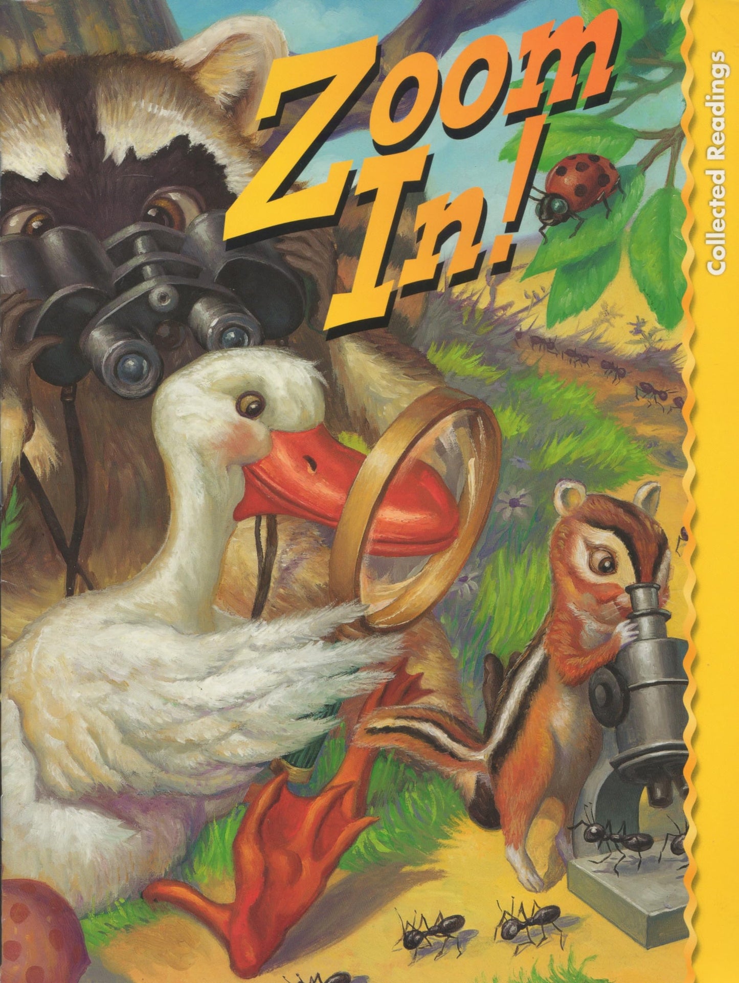 Reading 2000 Leveled Reader C Grade 2.2