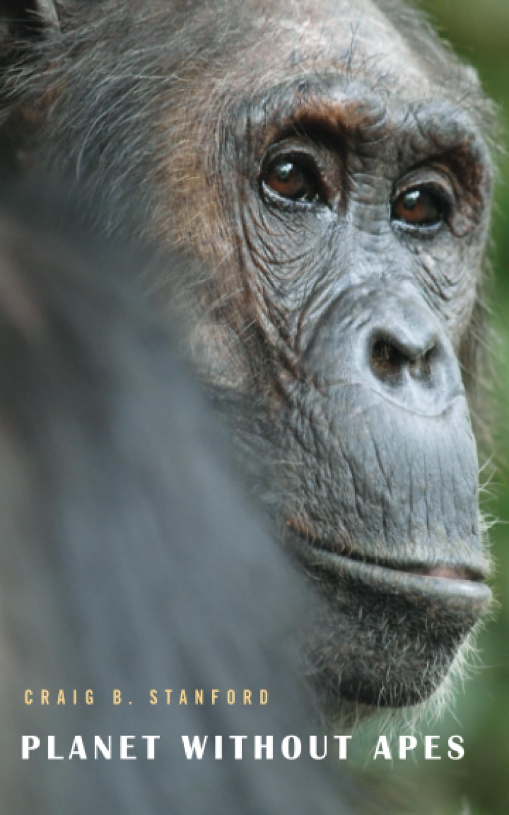 Planet Without Apes