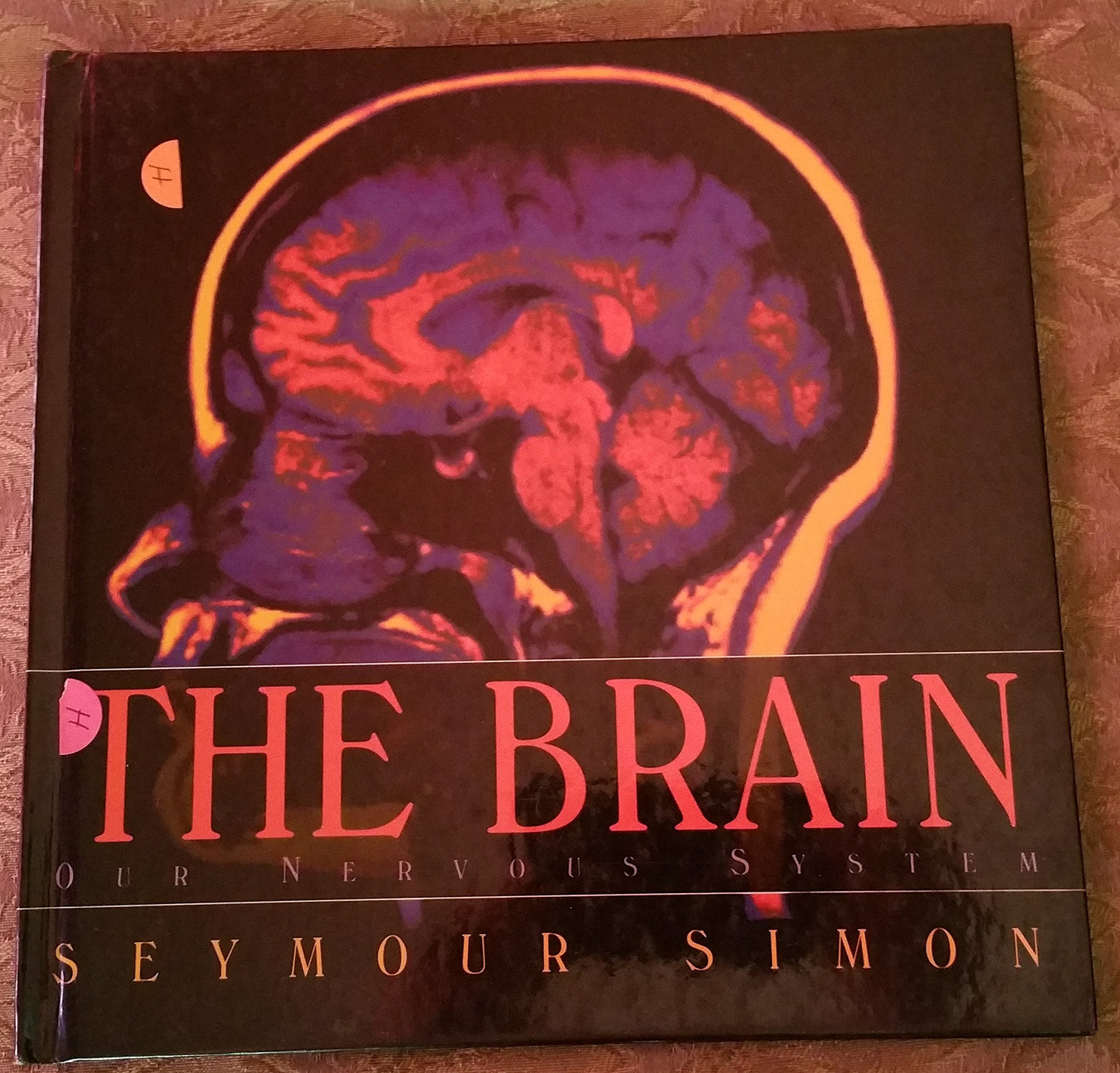 The Brain: Our Nervous System