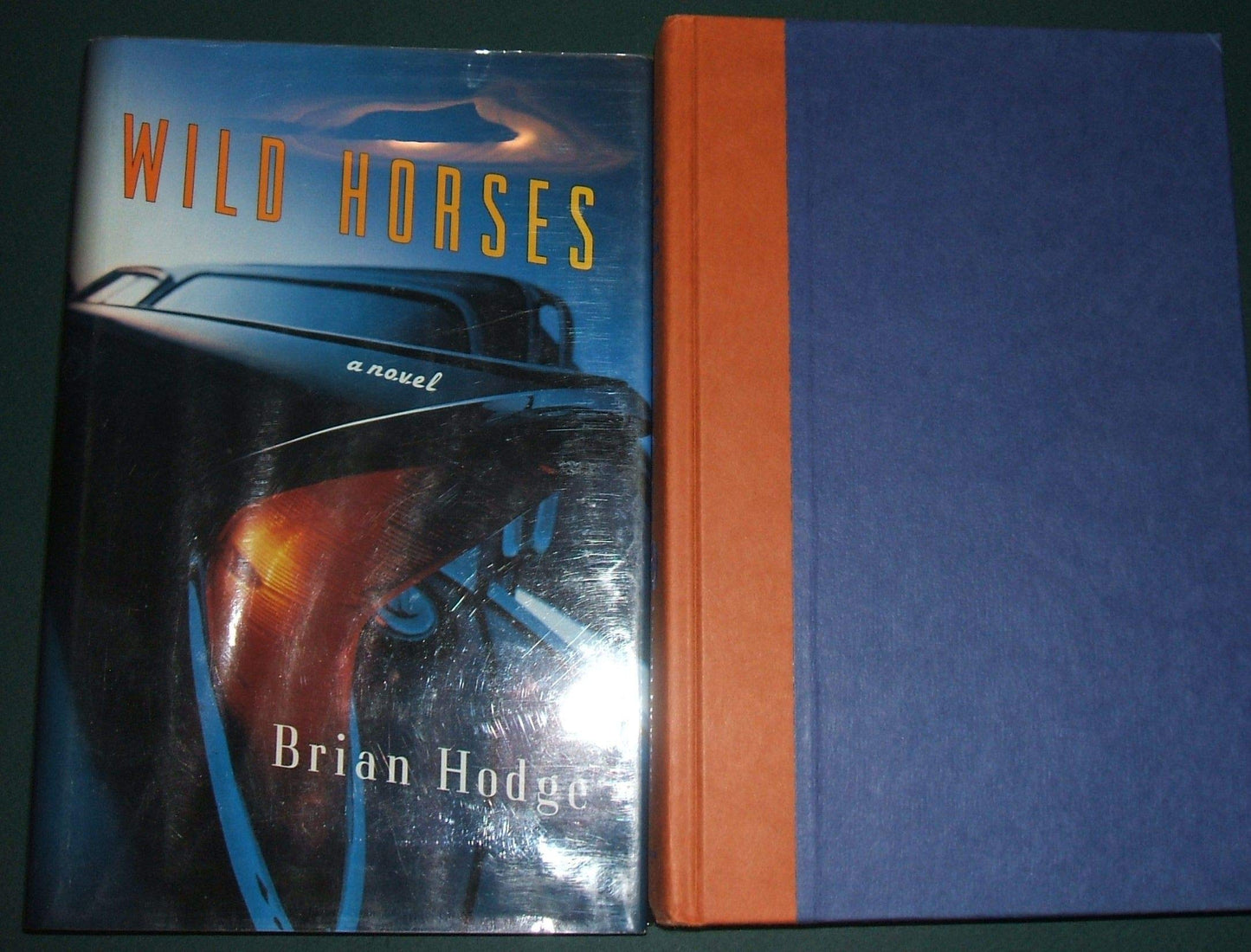 Wild Horses: A Novel