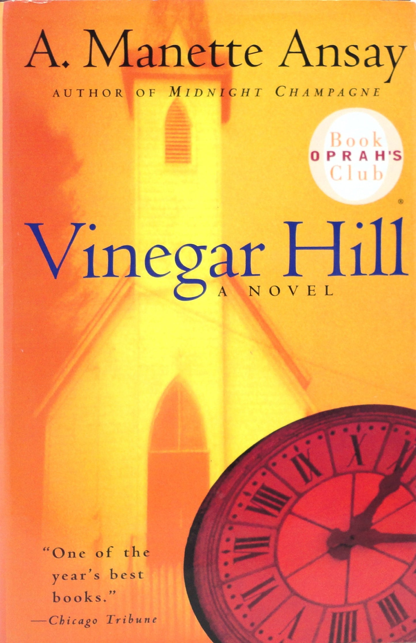 Vinegar Hill: A Novel