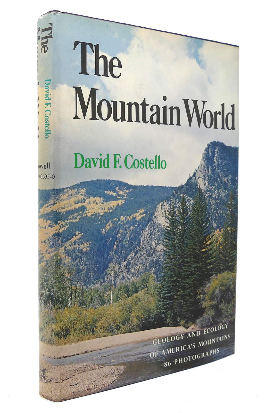 The Mountain World