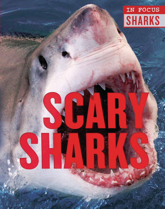 Scary Sharks (In Focus: Sharks)
