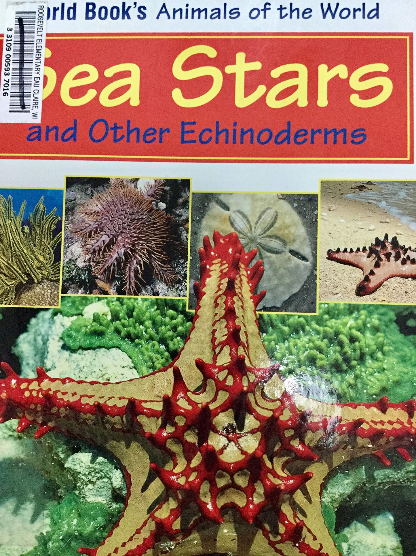 Sea Stars and Other Echinoderms (World Book's Animals of the World)