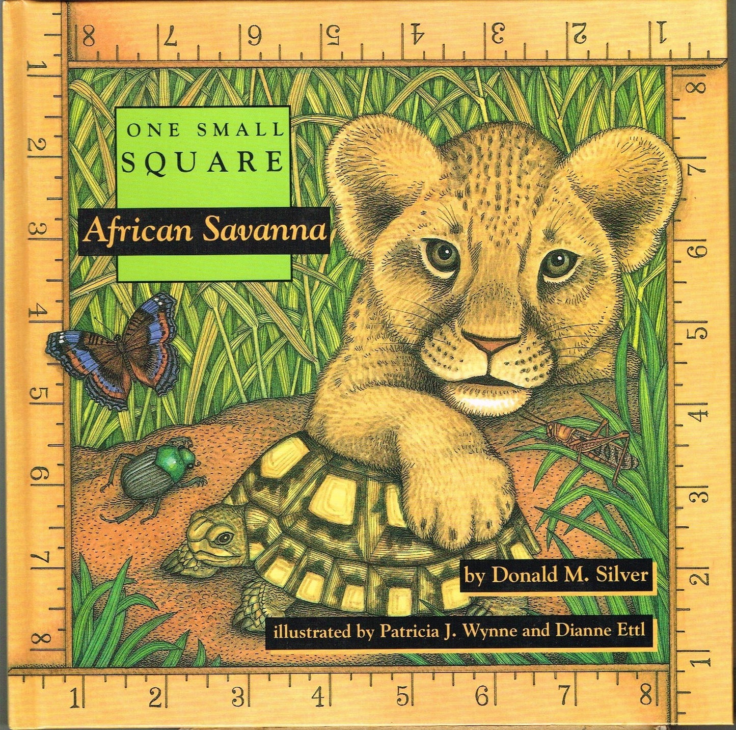 African Savanna (One Small Square)