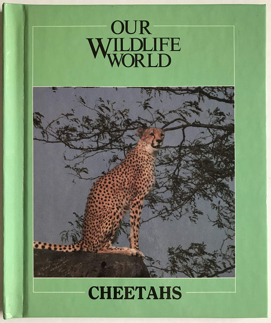 Cheetahs (Nature's Children)
