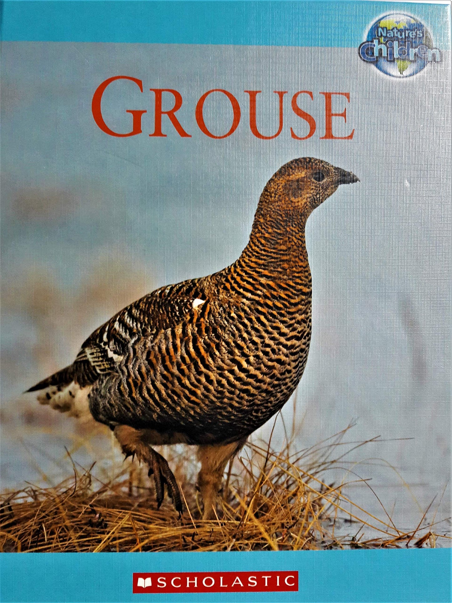 Grouse (Nature's Children)